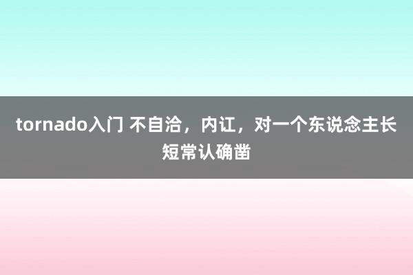 tornado入门 不自洽，内讧，对一个东说念主长短常认确凿